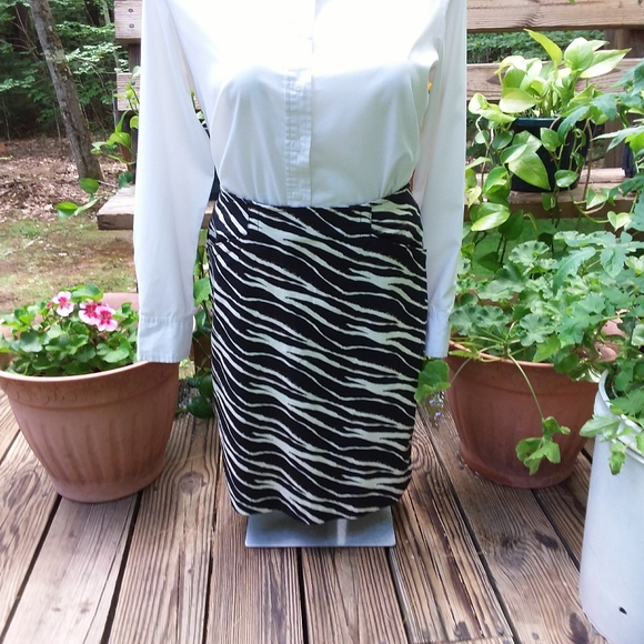 Ellen Tracy Dresses & Skirts - Ellen Tracy Women's Zebra Skirt